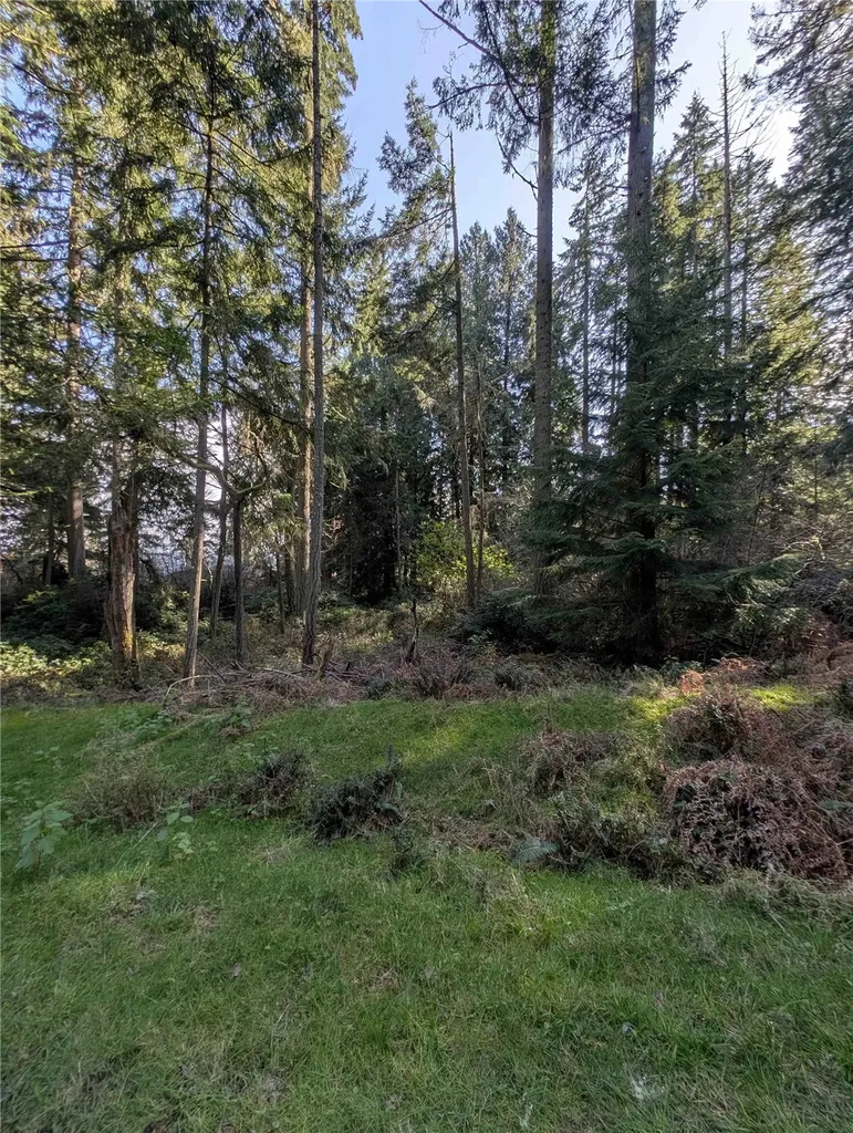 10325 Totem Way Anderson Island WA 98303