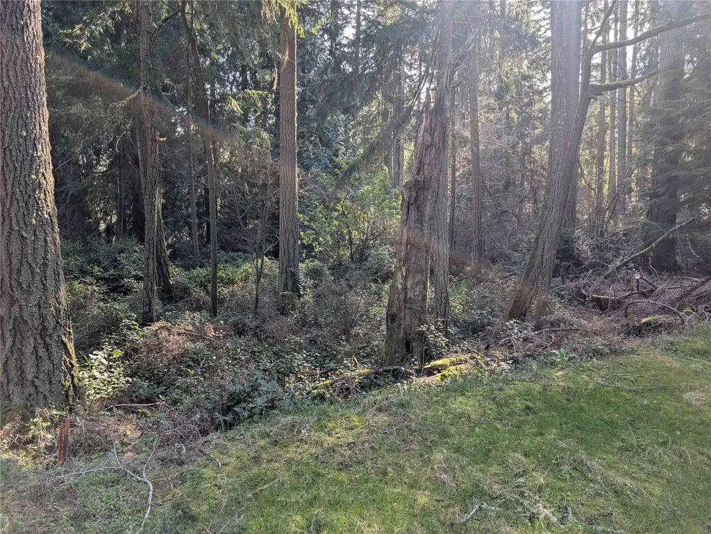 10325 Totem Way Anderson Island WA 98303