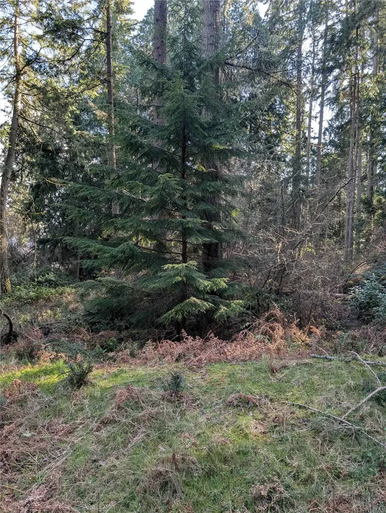 10325 Totem Way Anderson Island WA 98303