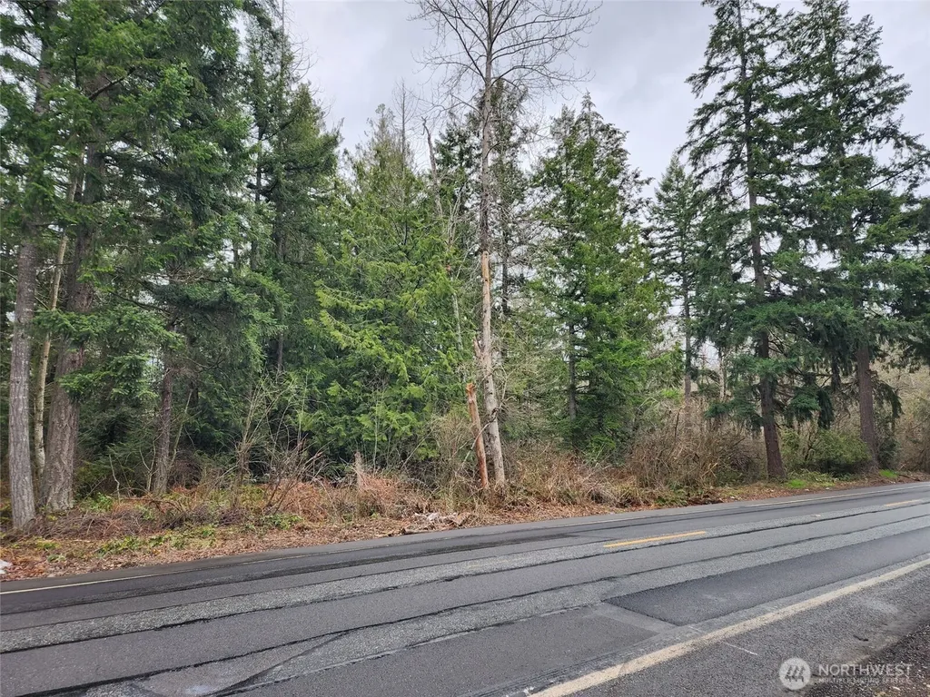 0 126th Avenue E Graham WA 98338