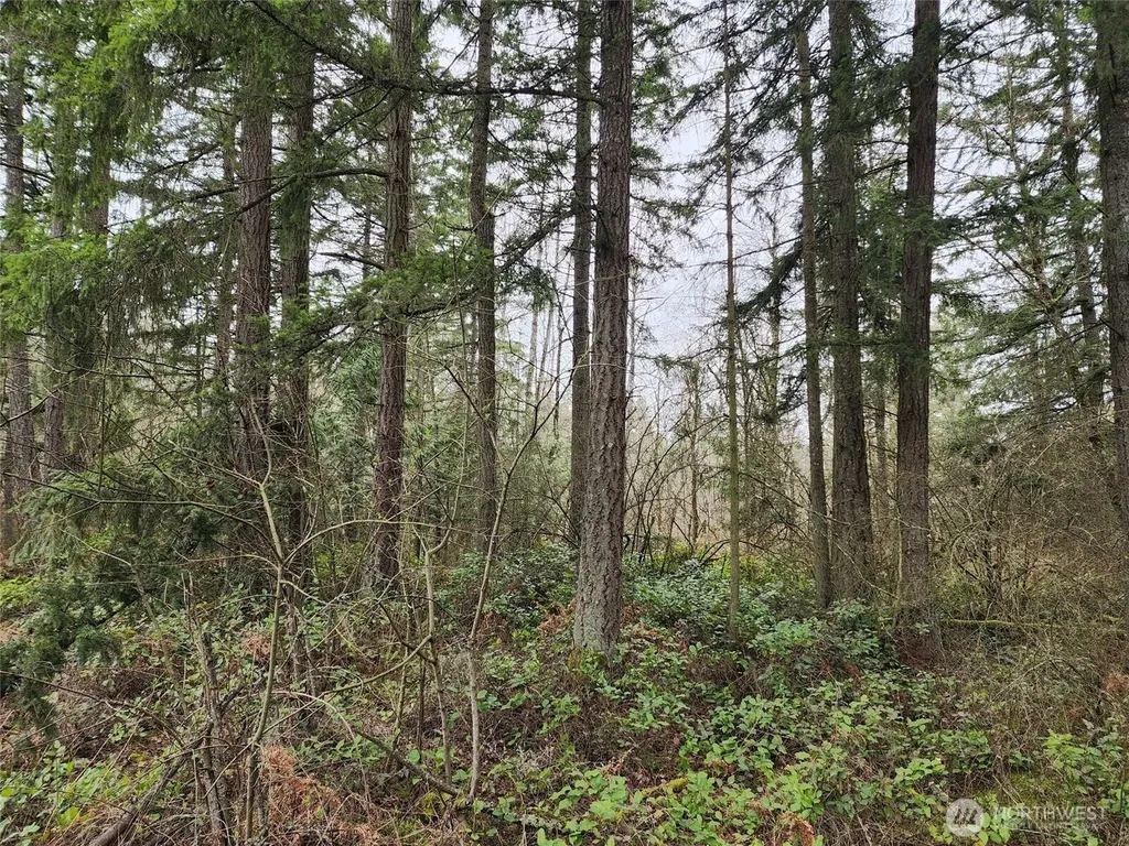 0 126th Avenue E Graham WA 98338