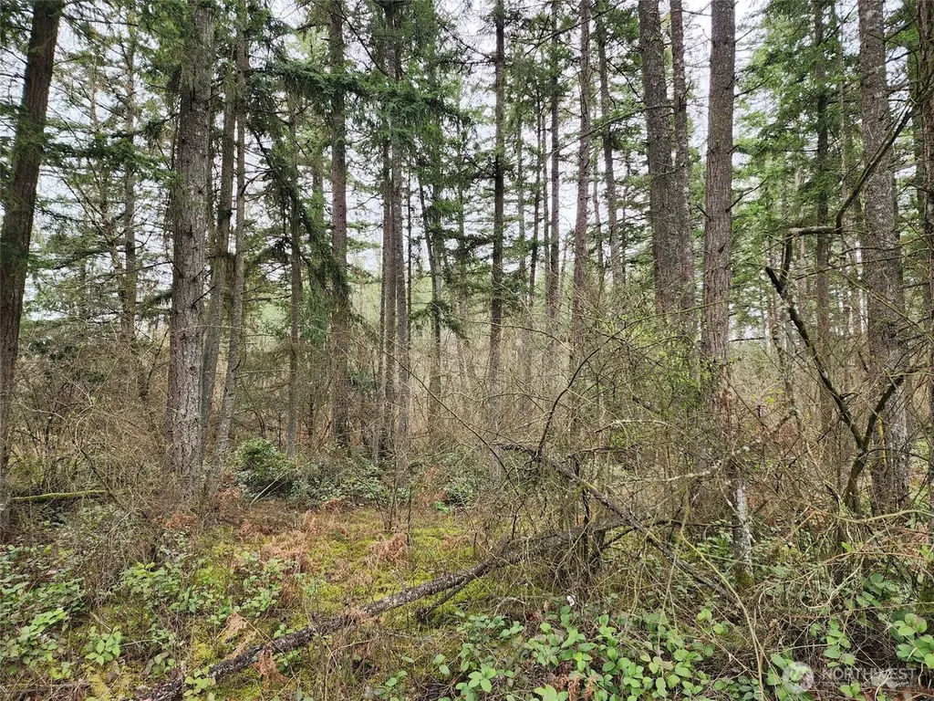 0 126th Avenue E Graham WA 98338