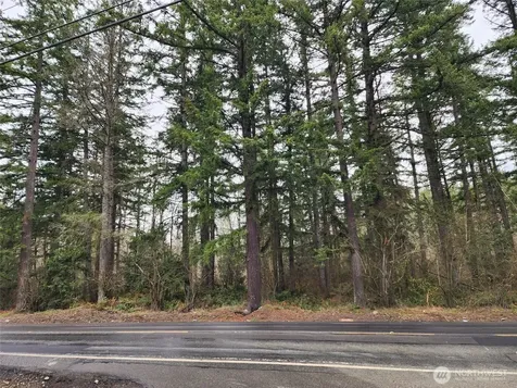 0 126th Avenue E Graham WA 98338