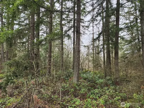 0 126th Avenue E Graham WA 98338