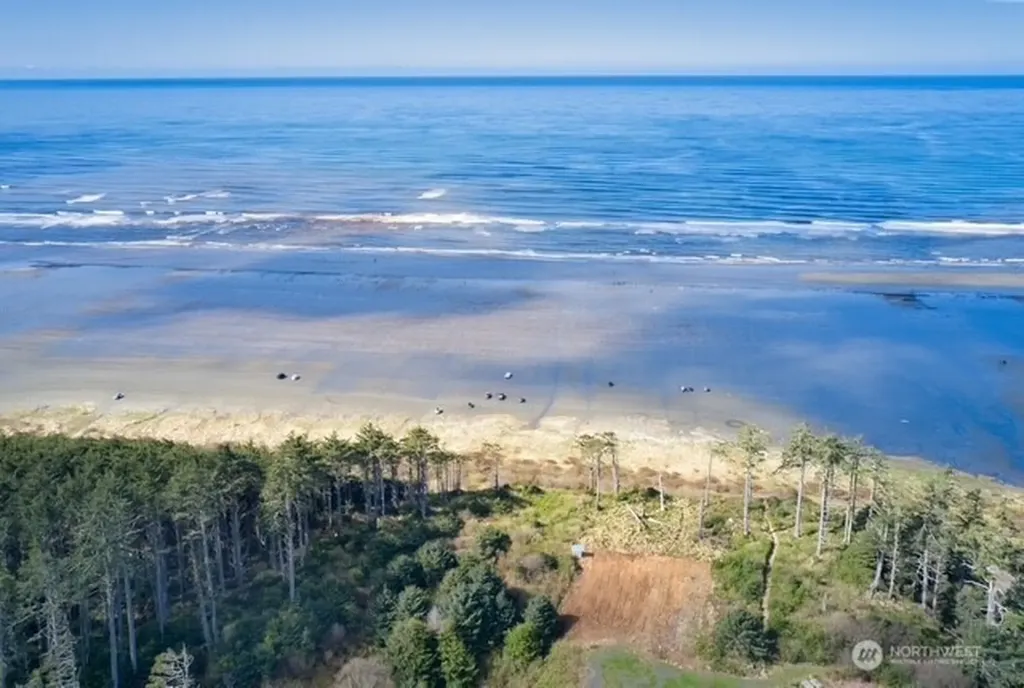 58 Chauncey Lane Pacific Beach WA 98571