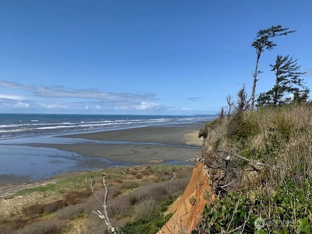 58 Chauncey Lane Pacific Beach WA 98571