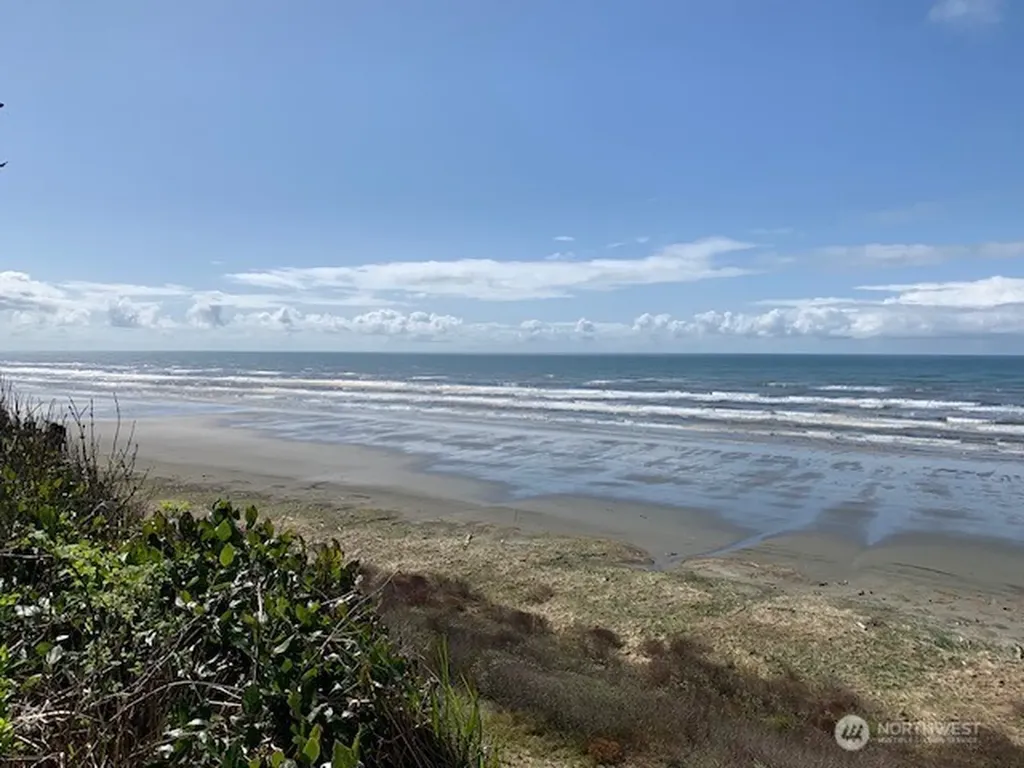 58 Chauncey Lane Pacific Beach WA 98571
