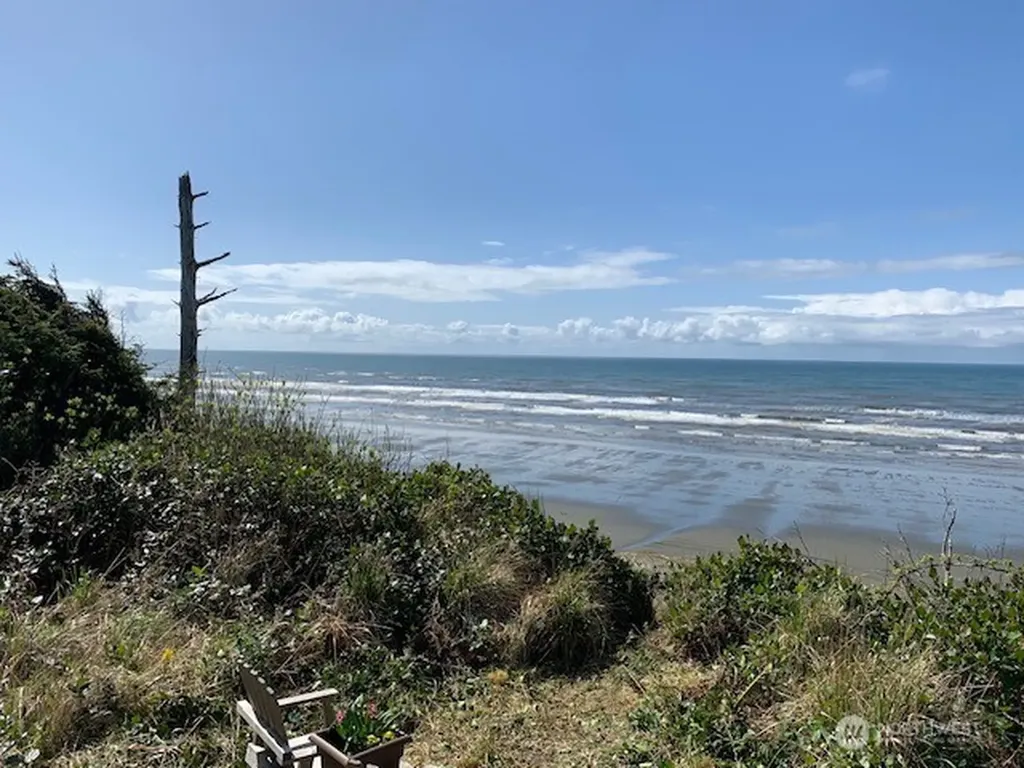 58 Chauncey Lane Pacific Beach WA 98571