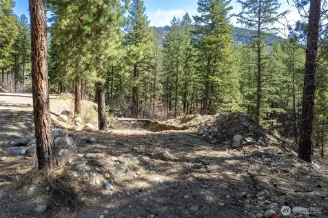 94 Homestead Road Winthrop WA 98862
