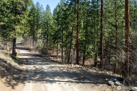 94 Homestead Road Winthrop WA 98862