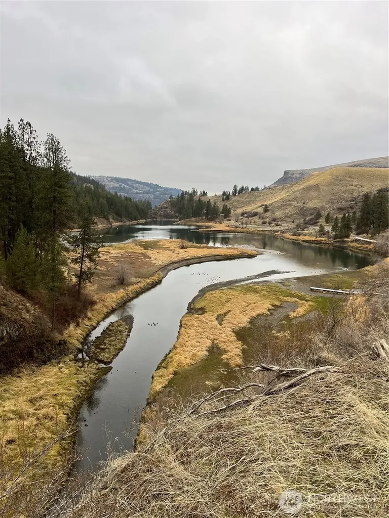 41850 Bixby Lane N Deer Meadows WA 99122