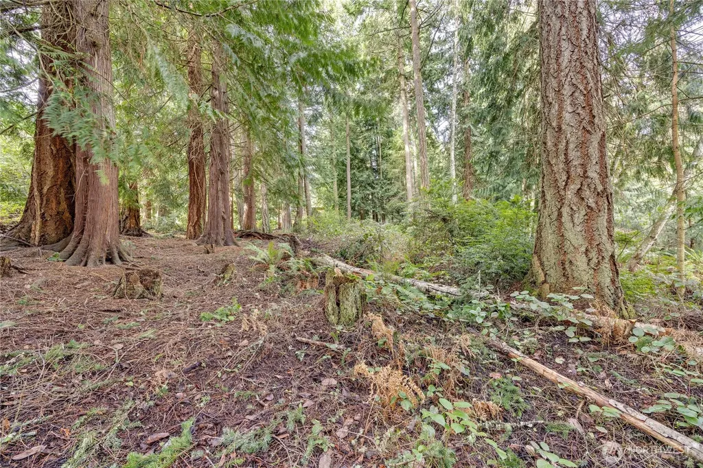 225 Belvedere Drive Port Townsend WA 98368