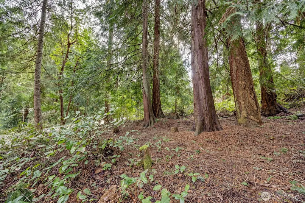 225 Belvedere Drive Port Townsend WA 98368