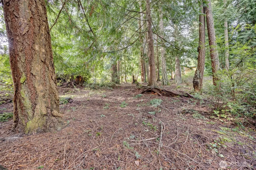 225 Belvedere Drive Port Townsend WA 98368