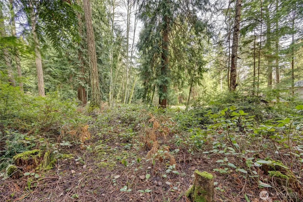 225 Belvedere Drive Port Townsend WA 98368