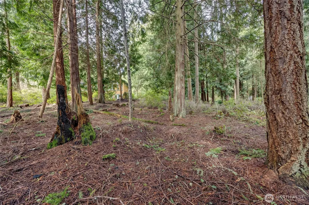 225 Belvedere Drive Port Townsend WA 98368