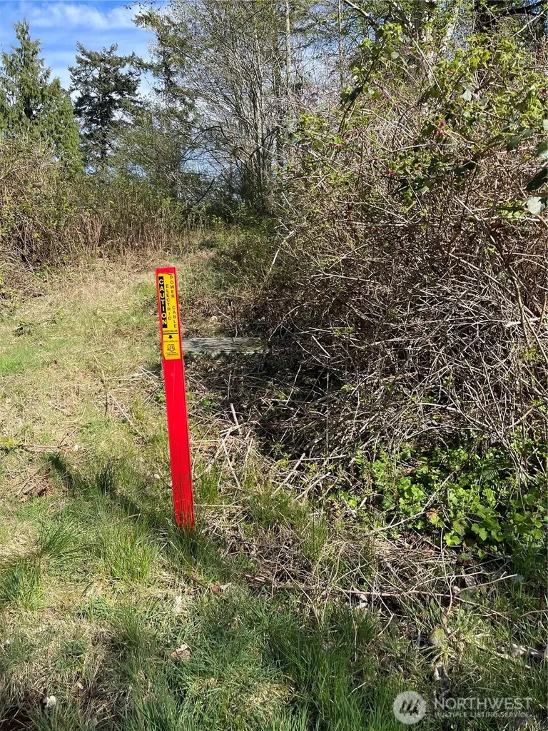 29 Beach Way Hat Island WA 98206