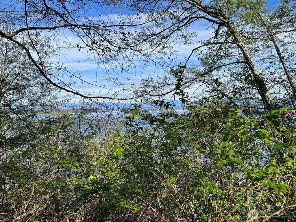 29 Beach Way Hat Island WA 98206
