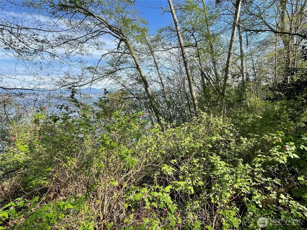 29 Beach Way Hat Island WA 98206