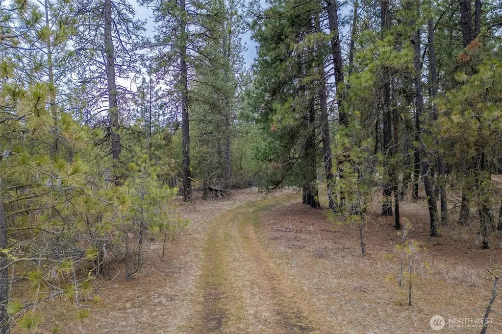 8700 Stangland S Medical Lake WA 99022