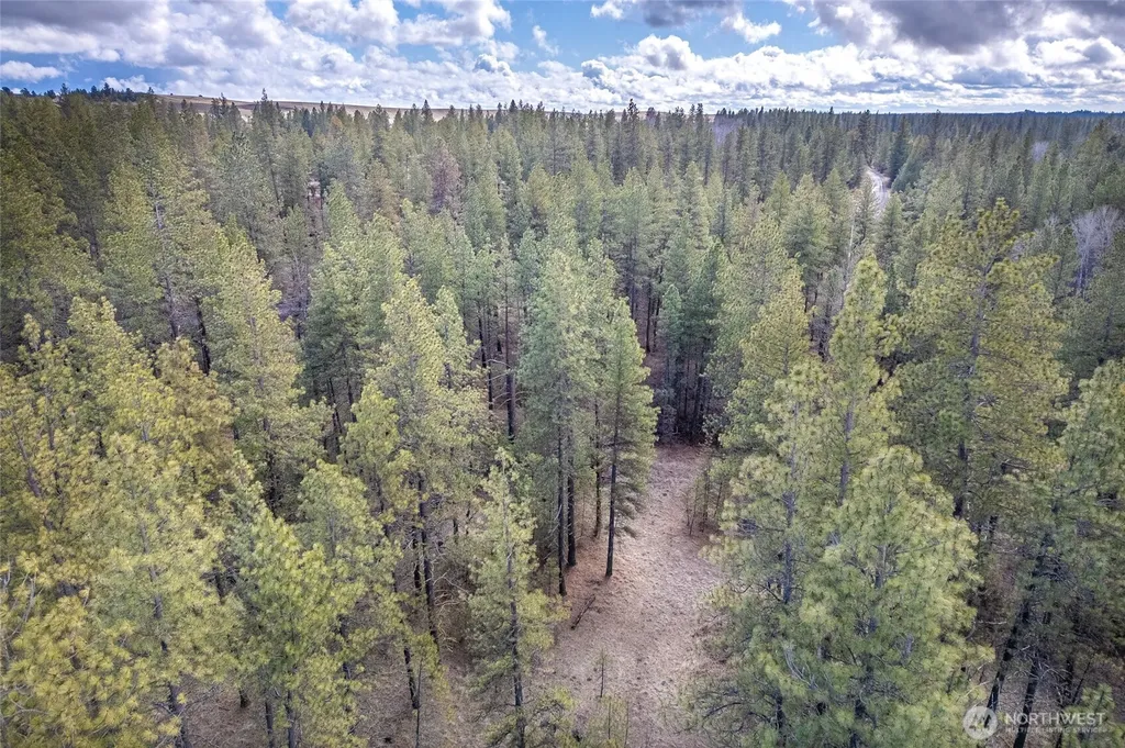 8700 Stangland S Medical Lake WA 99022