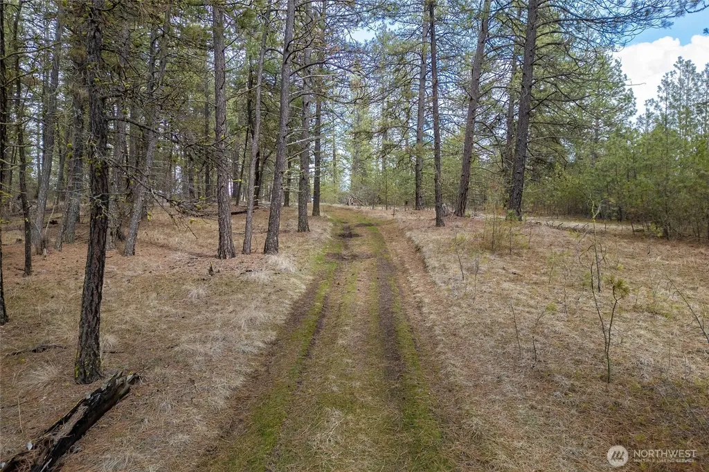 8700 Stangland S Medical Lake WA 99022