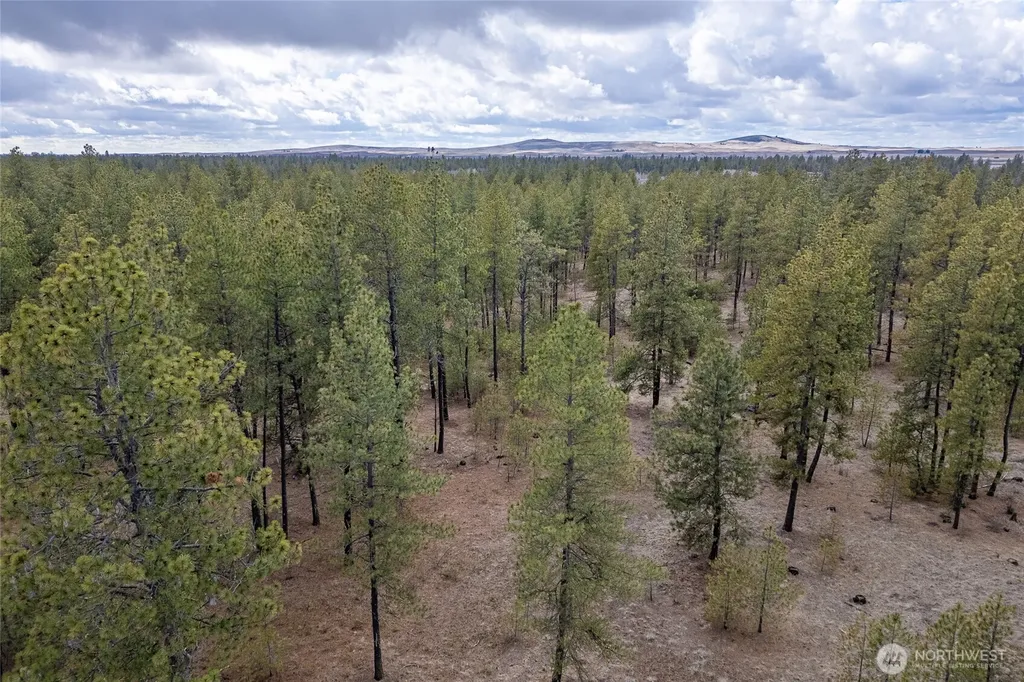 8700 Stangland S Medical Lake WA 99022