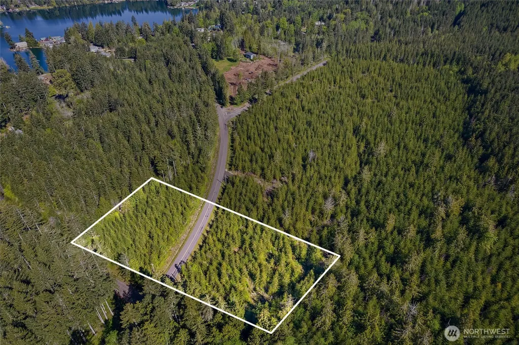 0 W Lost Lake Lot 4 Road Shelton WA 98584