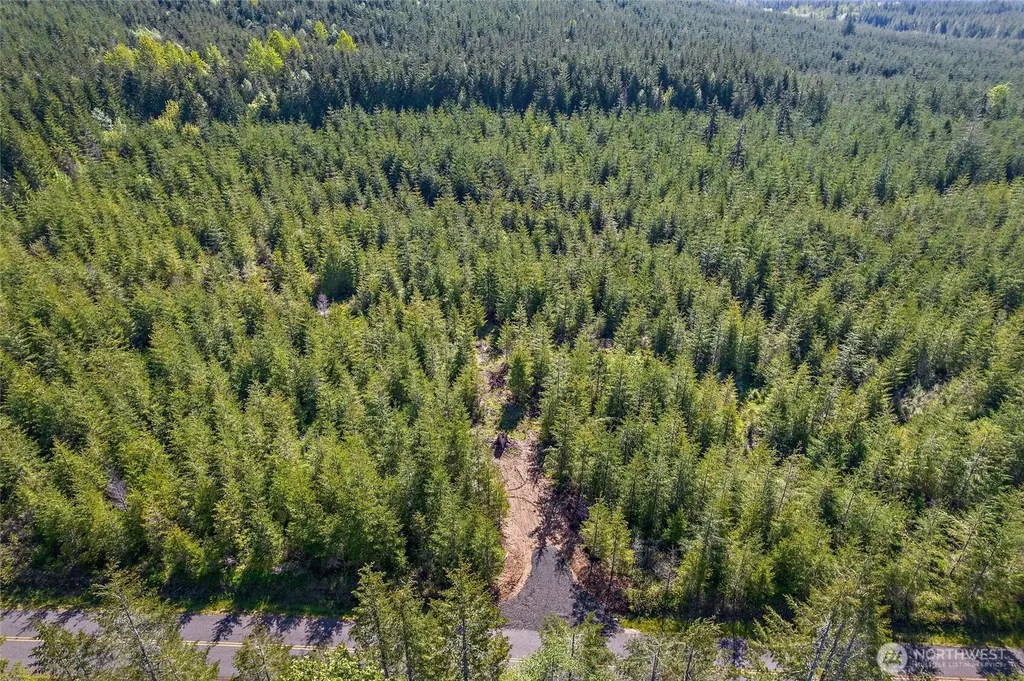 0 W Lost Lake Lot 4 Road Shelton WA 98584