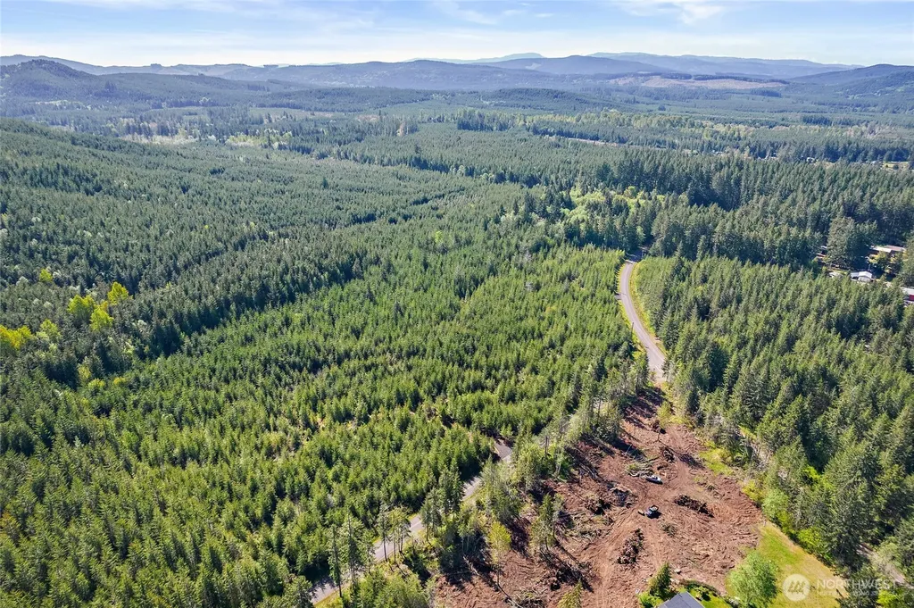 0 W Lost Lake Lot 4 Road Shelton WA 98584