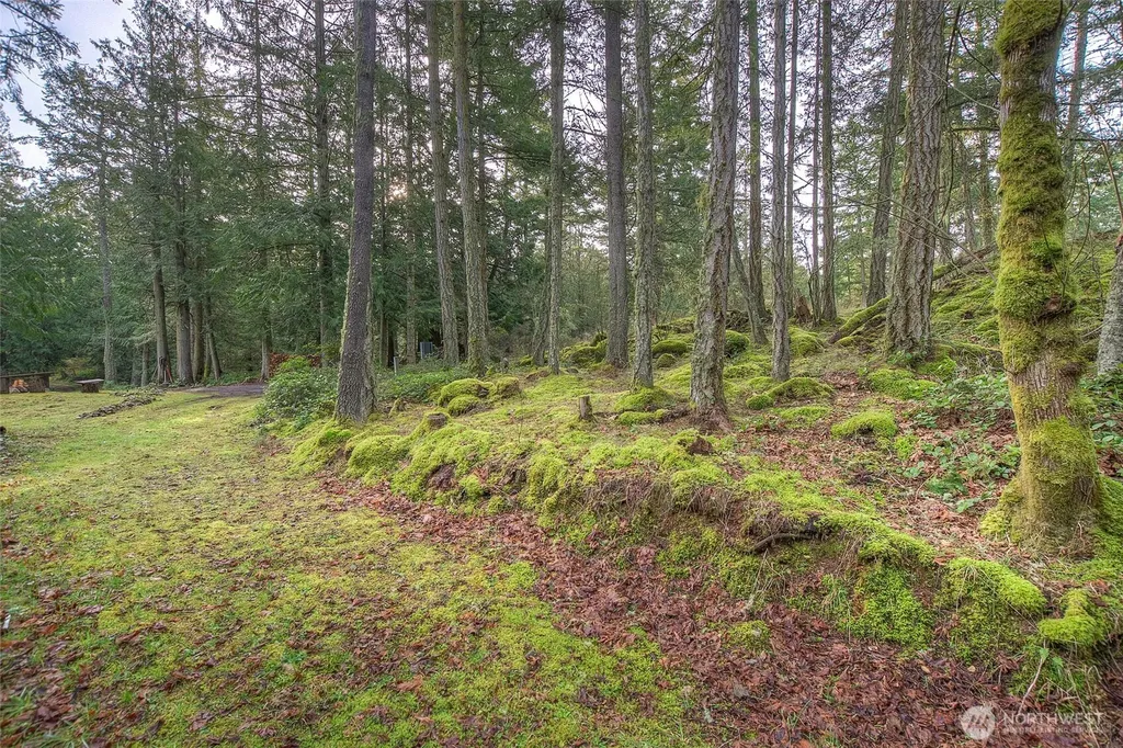 1536 Neck Point Road Shaw Island WA 98286