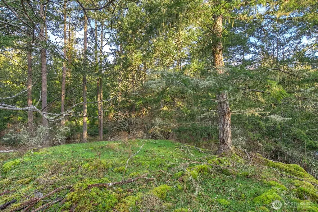 1536 Neck Point Road Shaw Island WA 98286