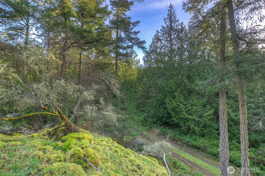 1536 Neck Point Road Shaw Island WA 98286