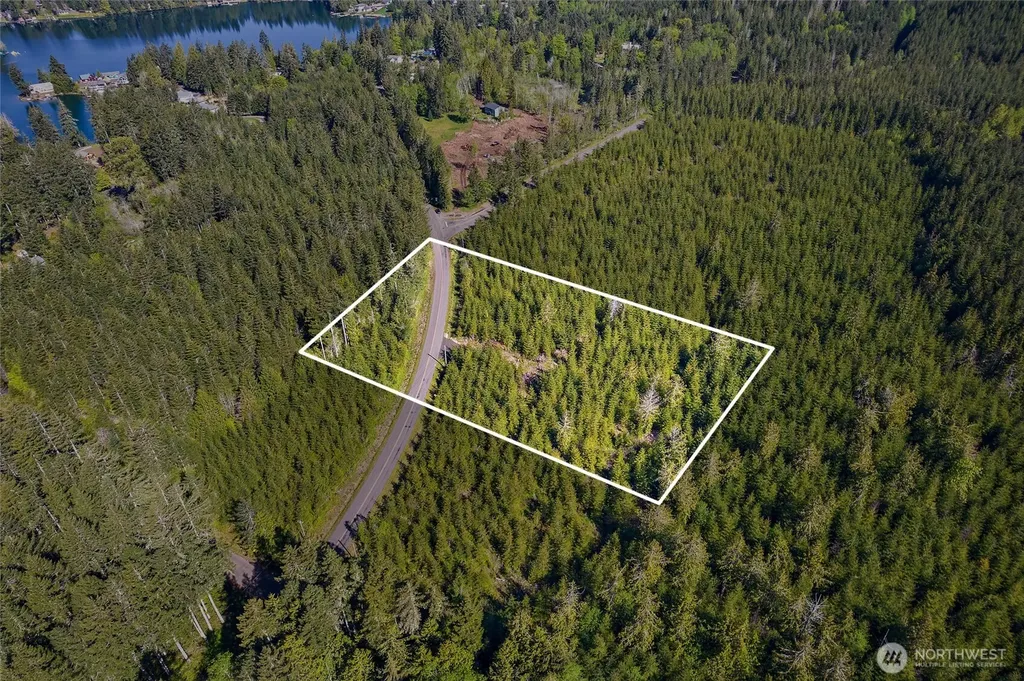 0 W Lost Lake Lot 3 Road Shelton WA 98584