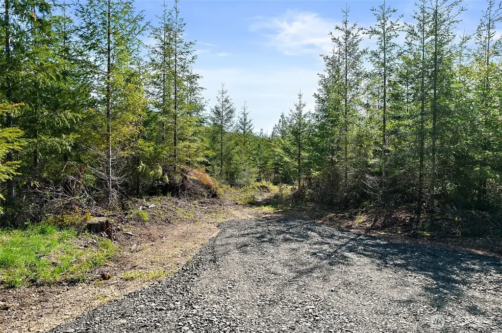 0 W Lost Lake Lot 1 Road Shelton WA 98584