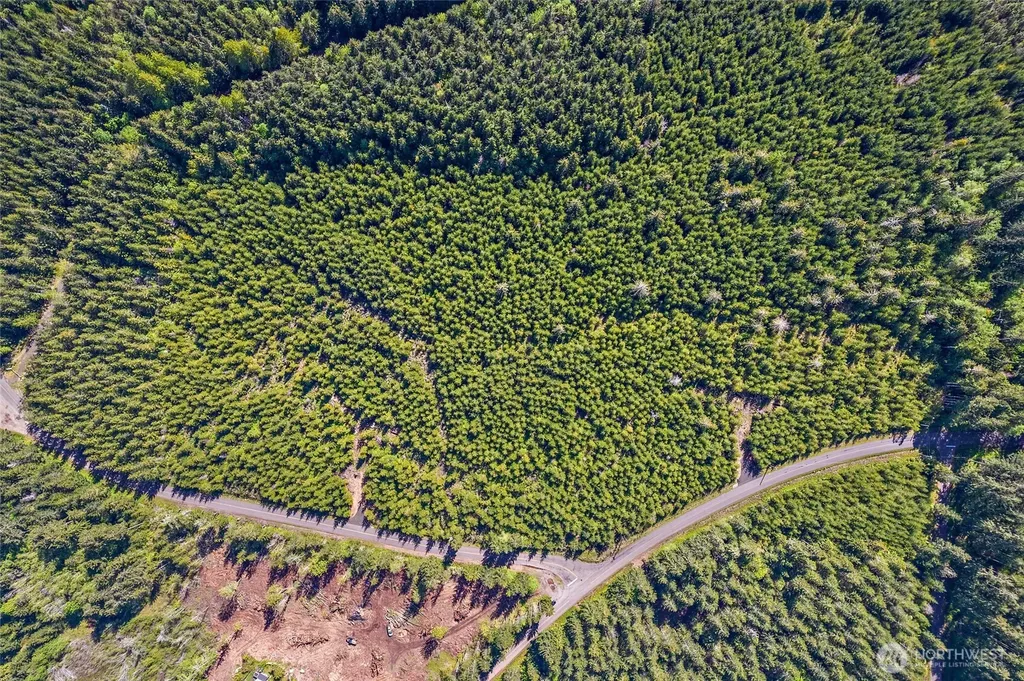 0 W Lost Lake Lot 1 Road Shelton WA 98584