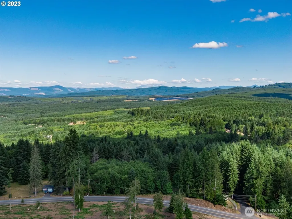 0 S Silver Lake Lot #4 Road Castle Rock WA 98611