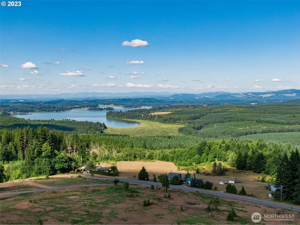 0 S Silver Lake Lot #4 Road Castle Rock WA 98611