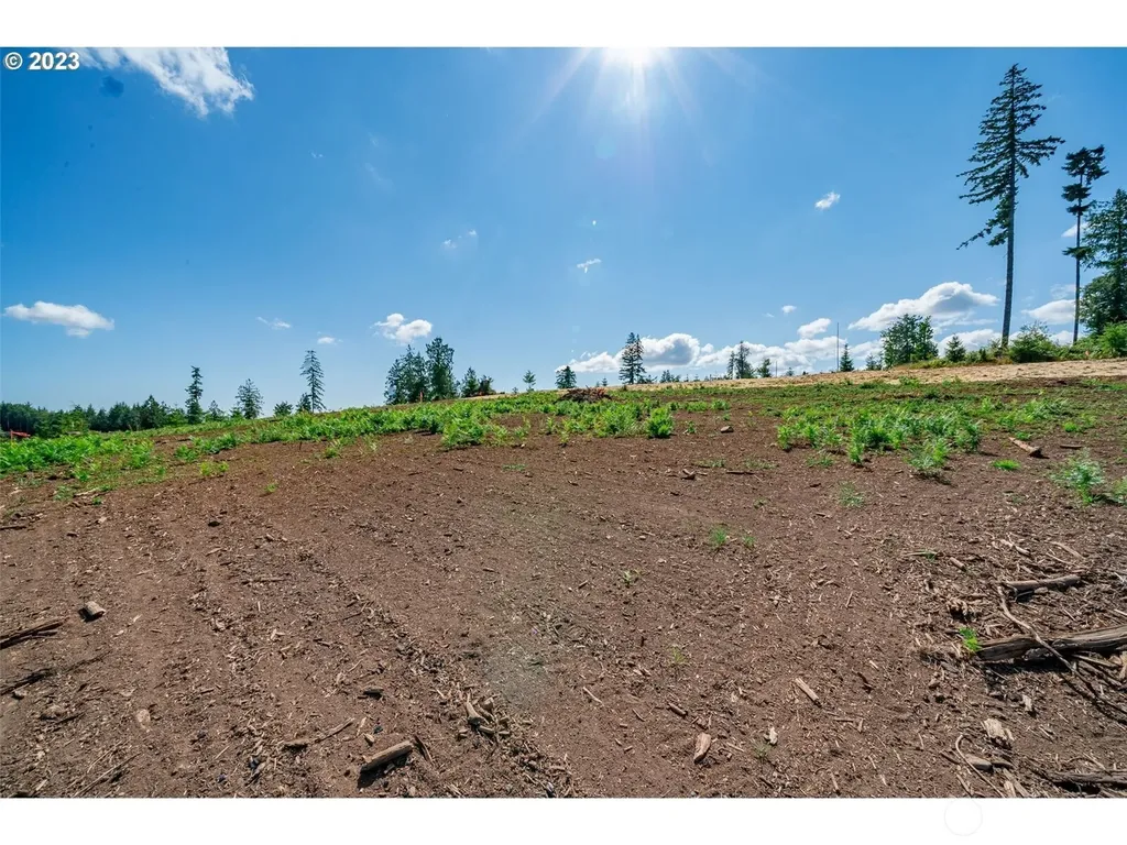 0 S Silver Lake Lot #4 Road Castle Rock WA 98611