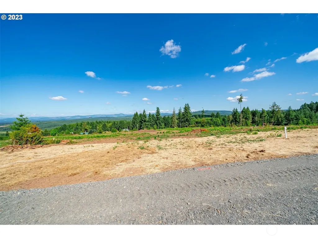 0 S Silver Lake Lot #4 Road Castle Rock WA 98611