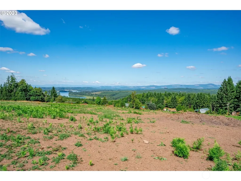 0 S Silver Lake Lot #4 Road Castle Rock WA 98611