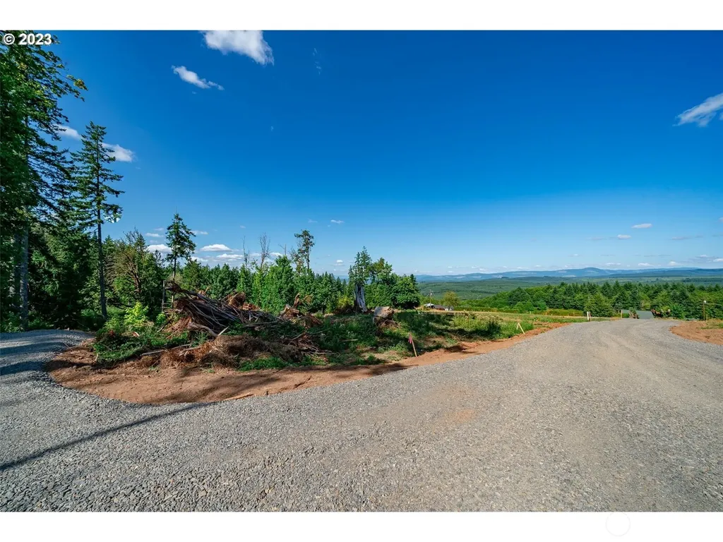 0 S Silver Lake Lot #1 Road Castle Rock WA 98611