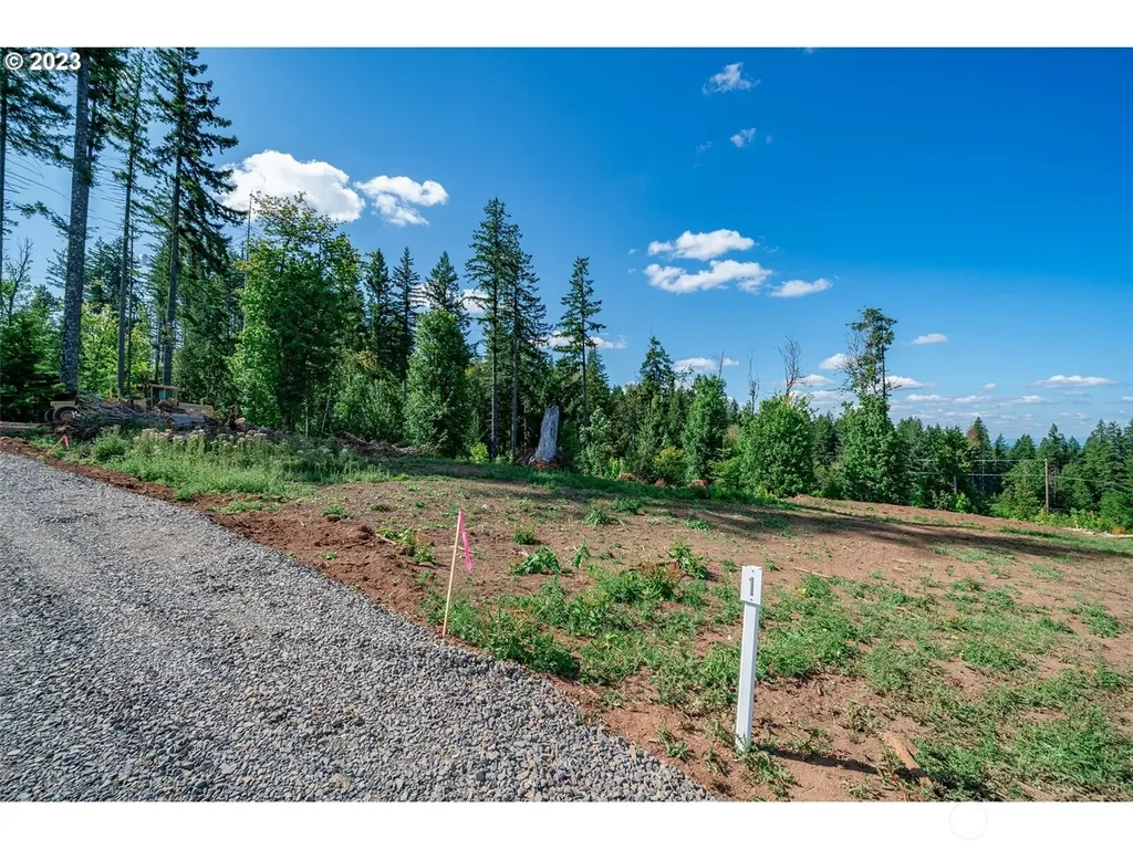 0 S Silver Lake Lot #1 Road Castle Rock WA 98611