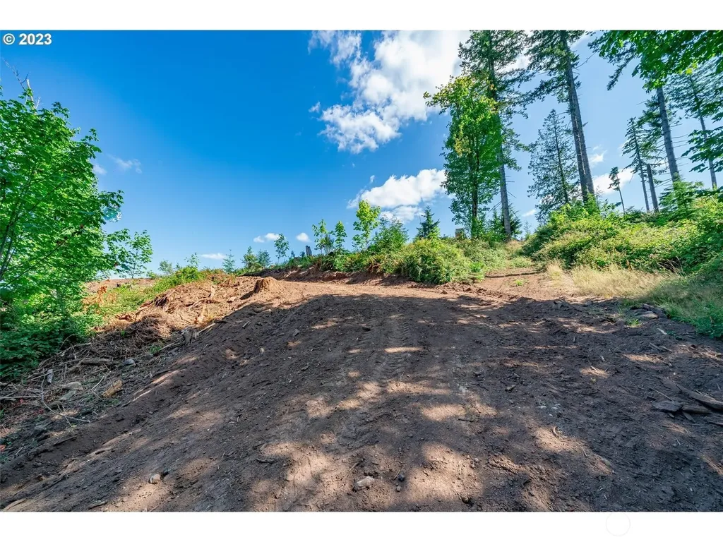 0 S Silver Lake Lot #1 Road Castle Rock WA 98611