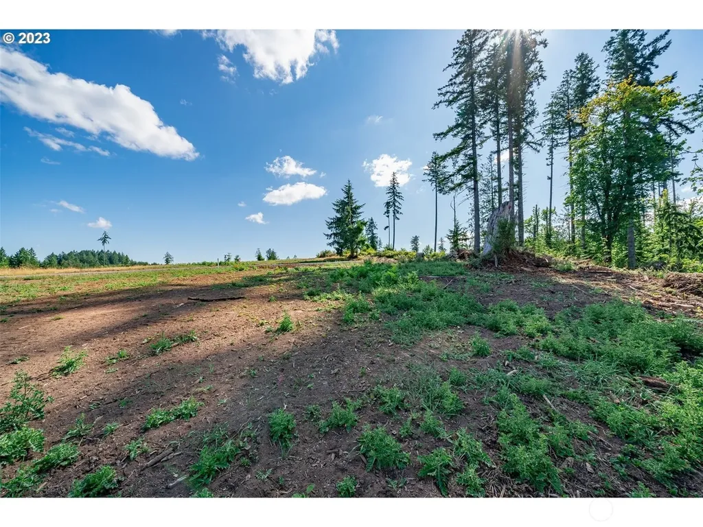 0 S Silver Lake Lot #1 Road Castle Rock WA 98611