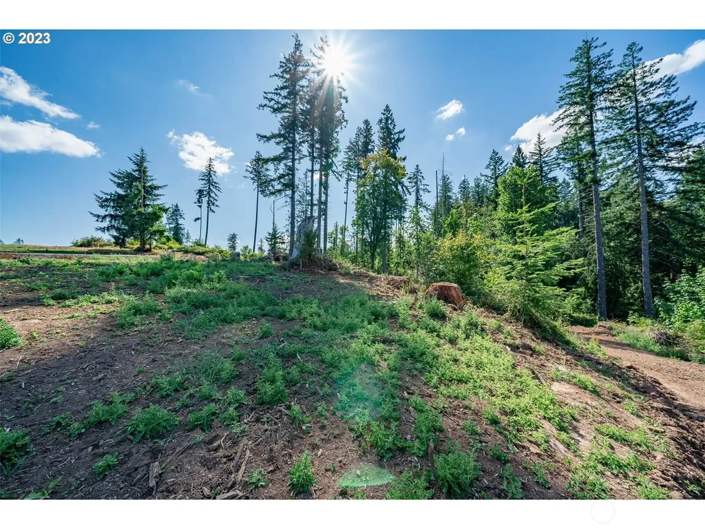 0 S Silver Lake Lot #1 Road Castle Rock WA 98611