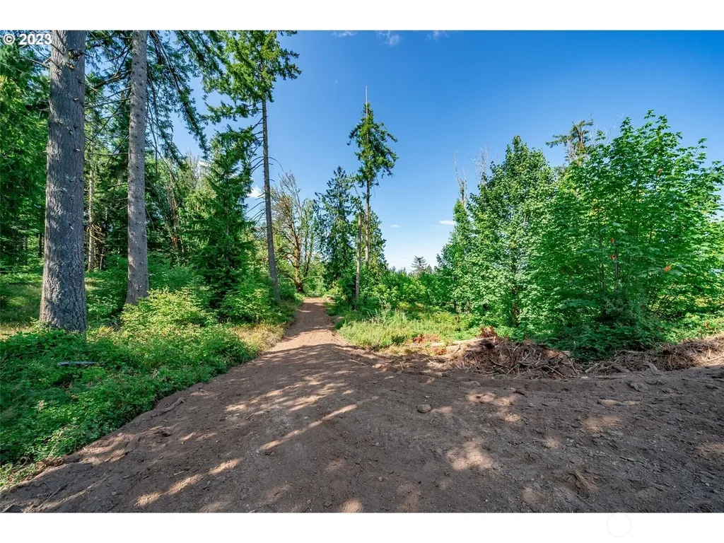 0 S Silver Lake Lot #1 Road Castle Rock WA 98611