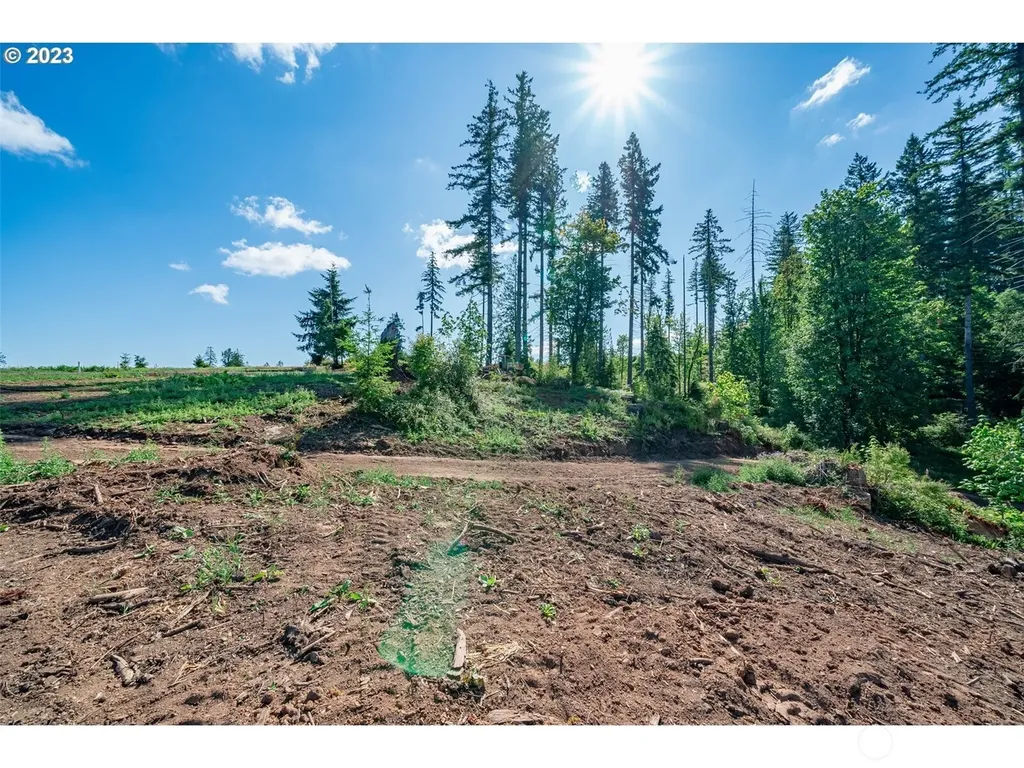 0 S Silver Lake Lot #1 Road Castle Rock WA 98611