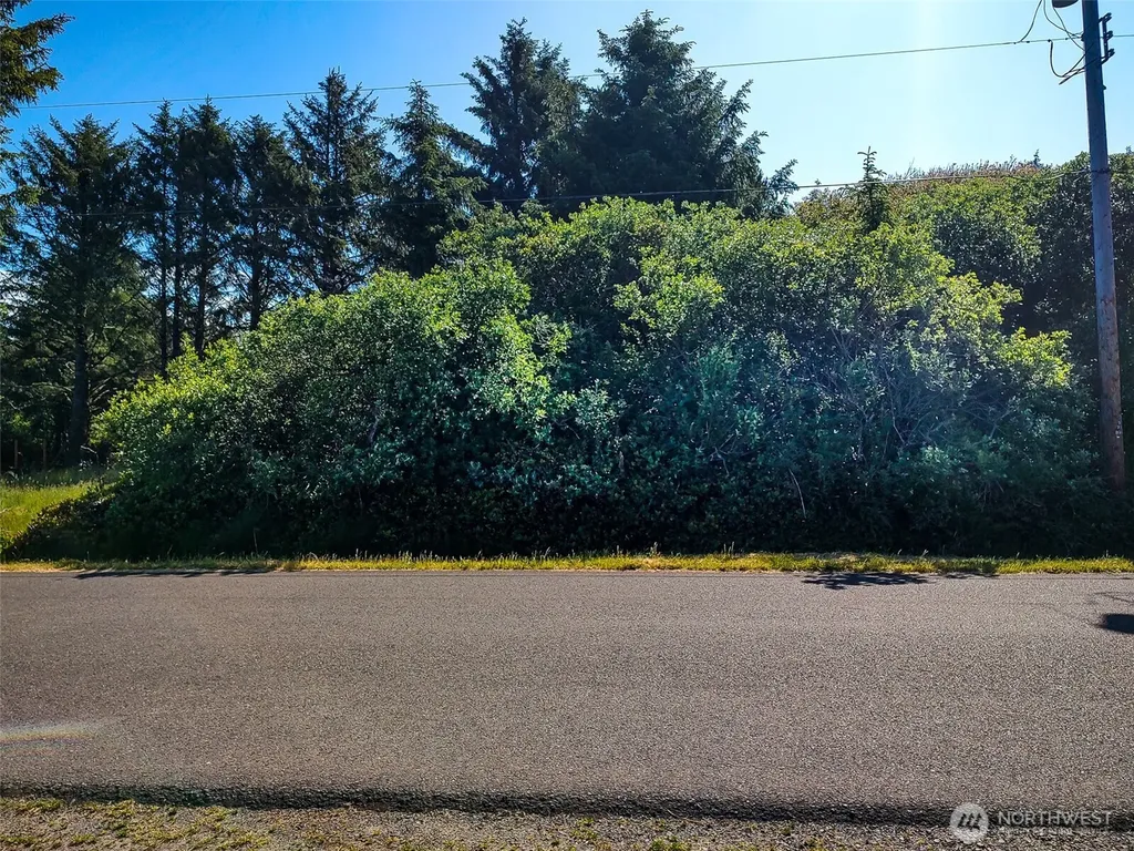 474 Volans Avenue SW Ocean Shores WA 98569