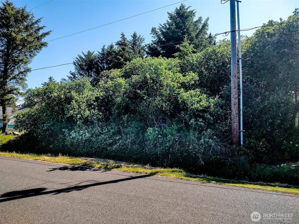 474 Volans Avenue SW Ocean Shores WA 98569